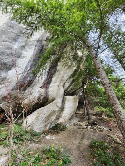Mineral Rock - Mineral, WA