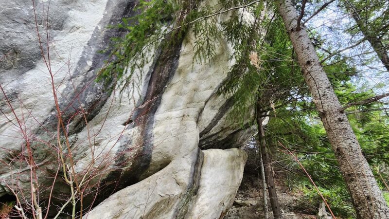 Mineral Rock - Mineral, WA