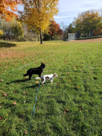 Brackett Field Park - Minneapolis, MN