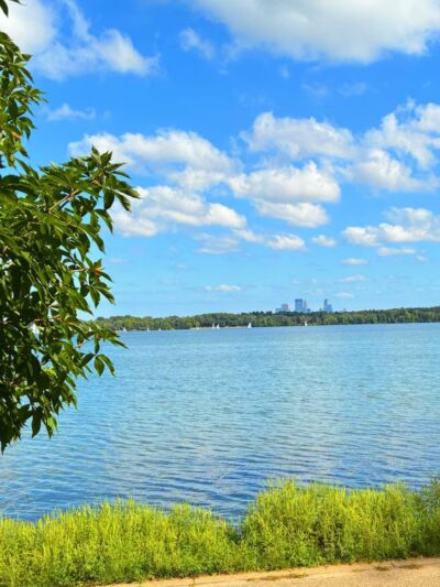 Dog Beach - Minneapolis, MN