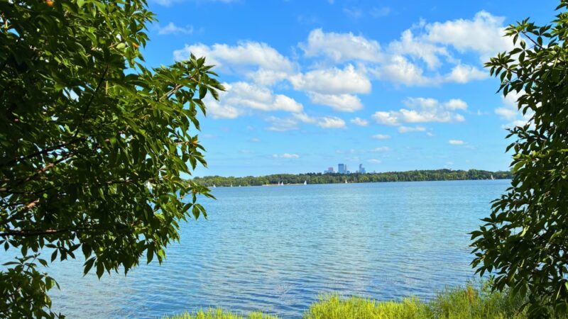 Dog Beach - Minneapolis, MN