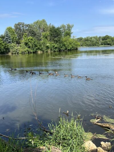 Grass Lake Park - Minneapolis, MN