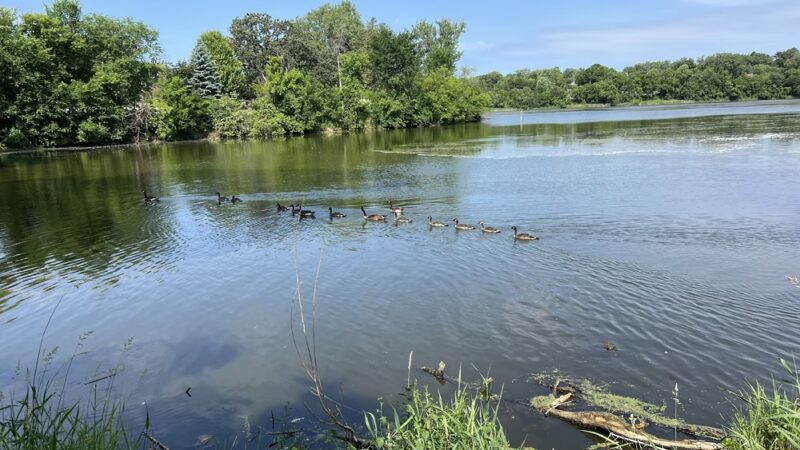 Grass Lake Park - Minneapolis, MN