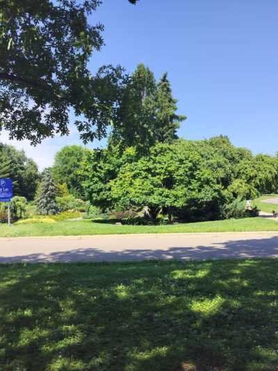 Lyndale Farmstead Park - Minneapolis, MN