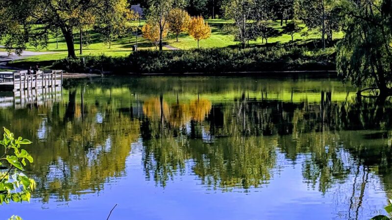 Powderhorn Park - Minneapolis, MN