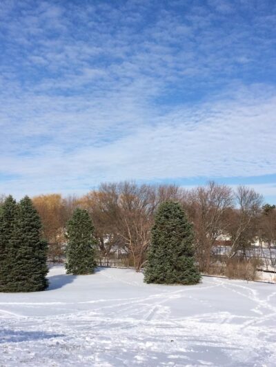 Shingle Creek Park - Minneapolis, MN
