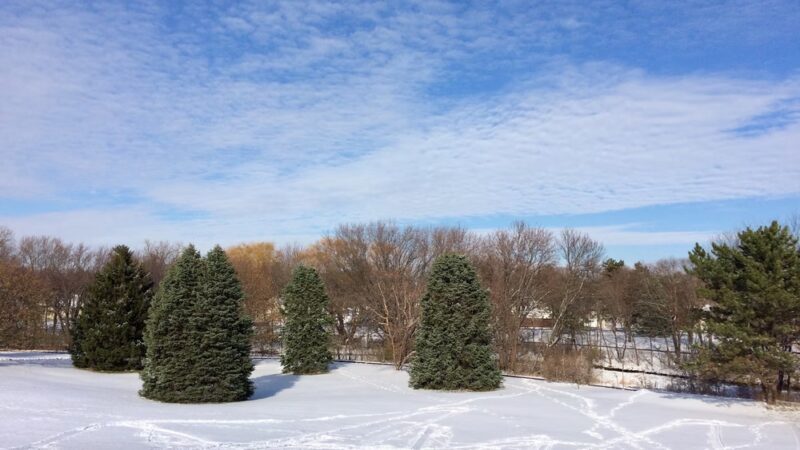 Shingle Creek Park - Minneapolis, MN