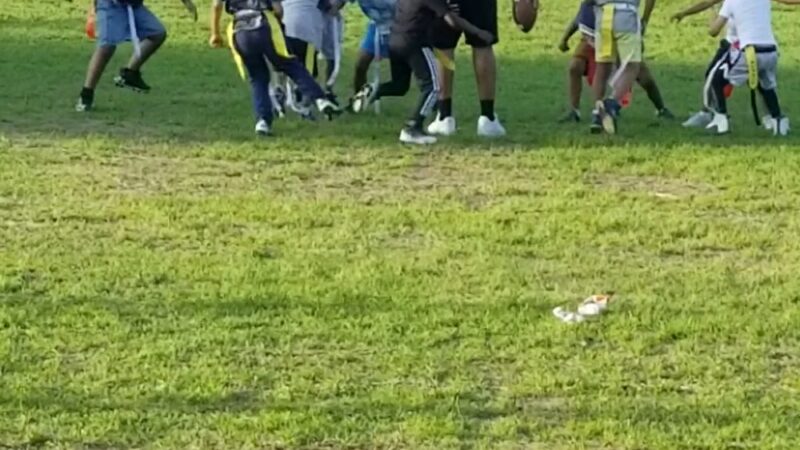 Shingle Creek Park - Minneapolis, MN