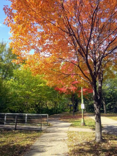 Shingle Creek Park - Minneapolis, MN