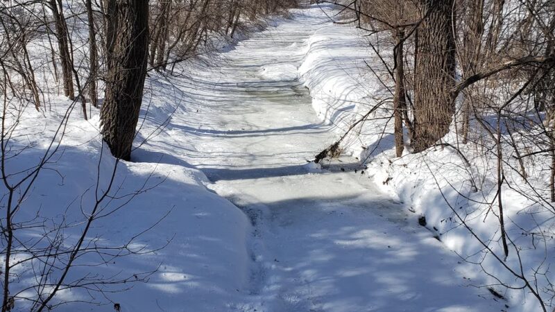 Shingle Creek Park - Minneapolis, MN