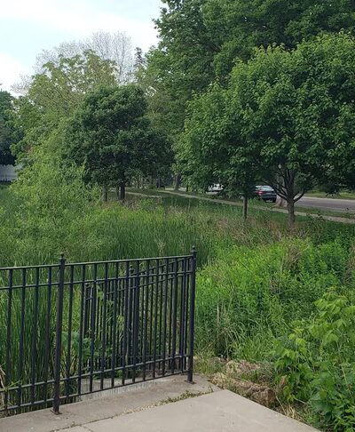 West Twin Pond - Minneapolis, MN