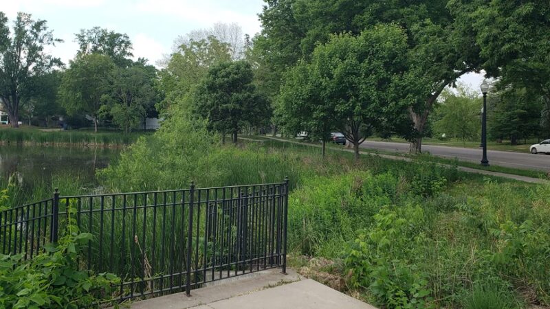 West Twin Pond - Minneapolis, MN