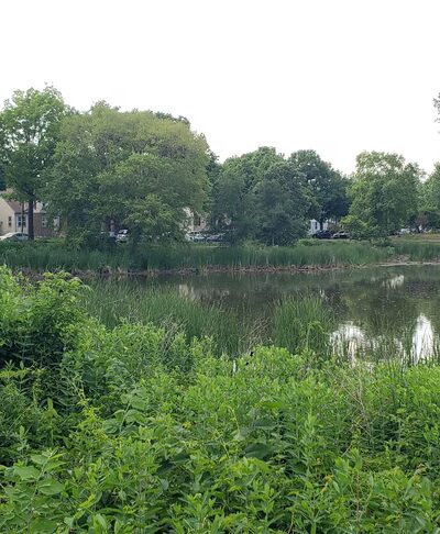 West Twin Pond - Minneapolis, MN