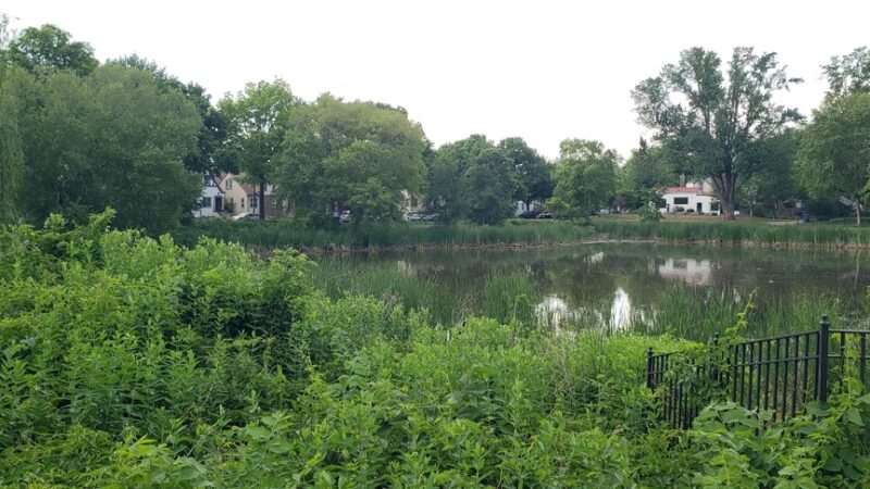 West Twin Pond - Minneapolis, MN