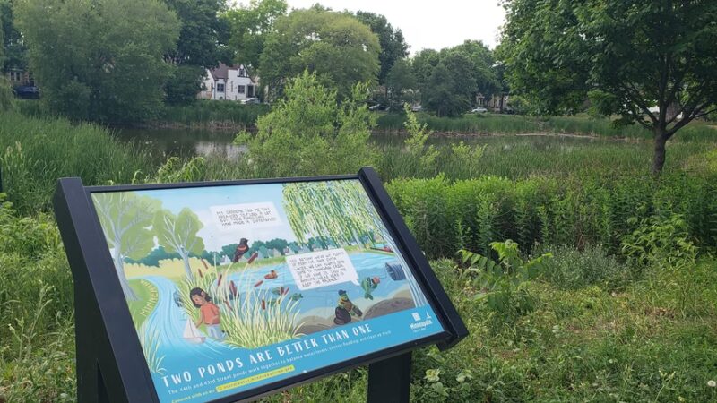 West Twin Pond - Minneapolis, MN