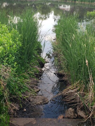 West Twin Pond - Minneapolis, MN
