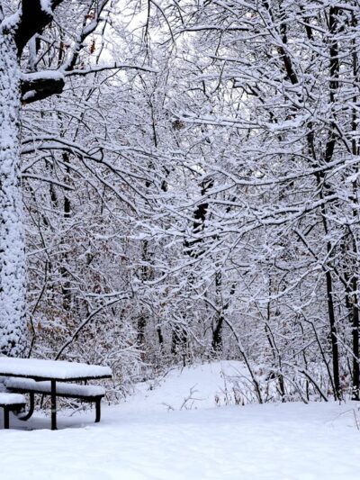 William Berry Park - Minneapolis, MN
