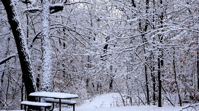 William Berry Park - Minneapolis, MN