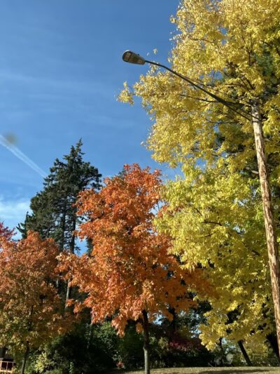 William Berry Park - Minneapolis, MN
