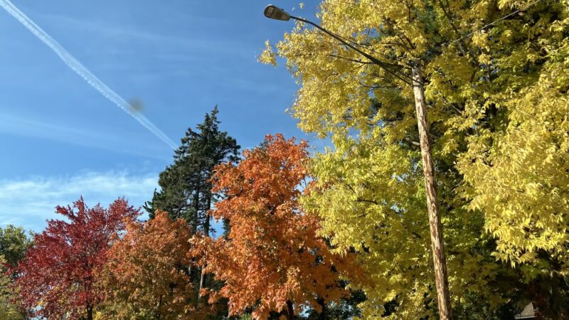 William Berry Park - Minneapolis, MN