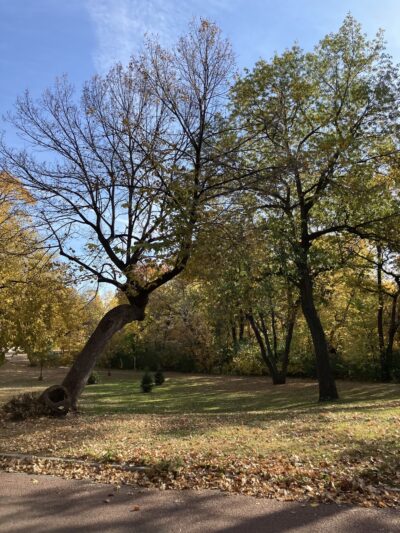 William Berry Park - Minneapolis, MN