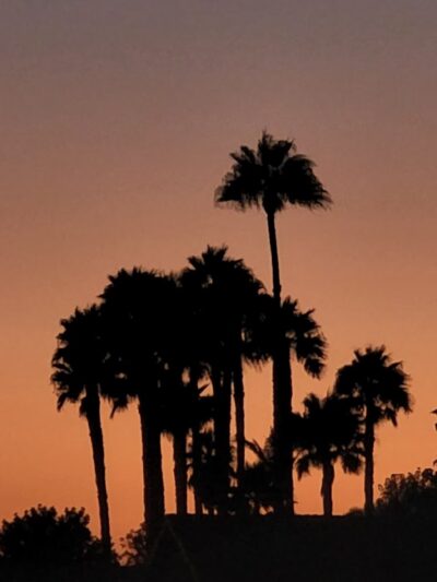 Wineville Park - Mira Loma, CA