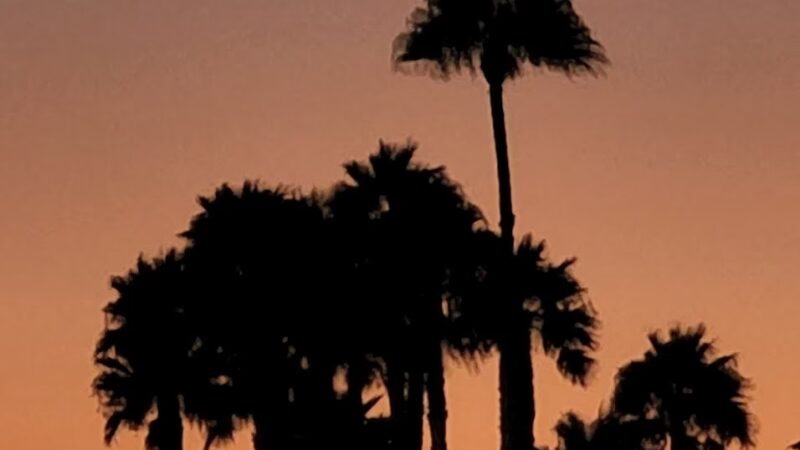 Wineville Park - Mira Loma, CA