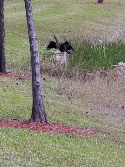 Miramar Regional Park - Miramar, FL