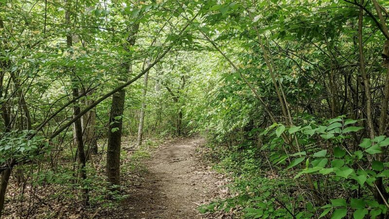Streamway Park - Mission, KS