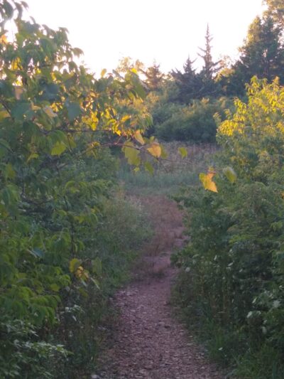 Streamway Park - Mission, KS