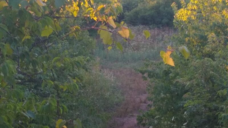 Streamway Park - Mission, KS