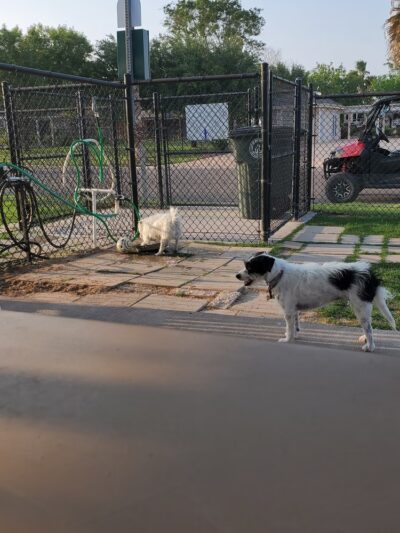 Retama Village Dog Park - Mission, TX