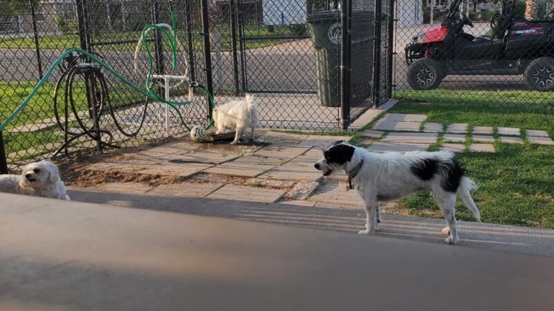 Retama Village Dog Park - Mission, TX