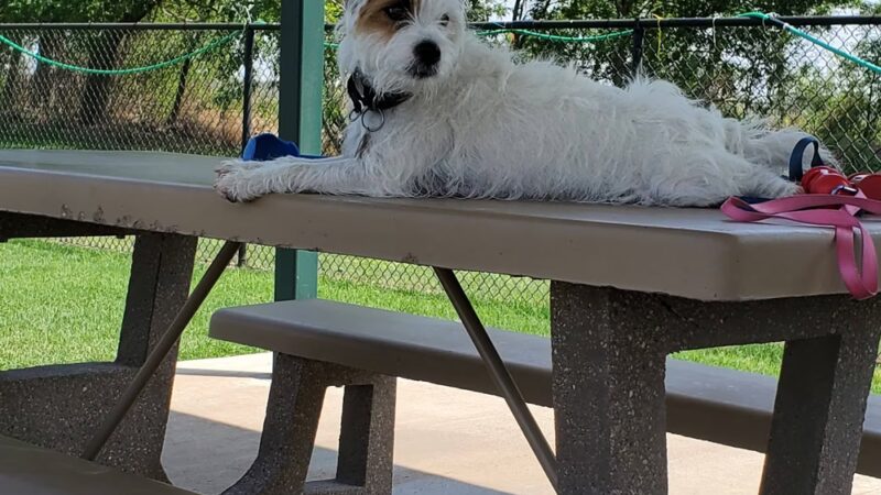 Retama Village Dog Park - Mission, TX