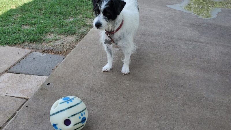 Retama Village Dog Park - Mission, TX