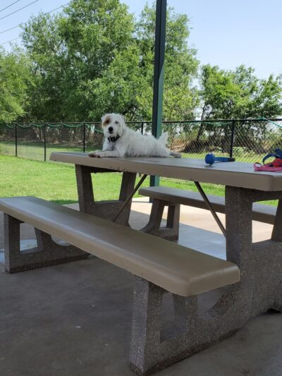 Retama Village Dog Park - Mission, TX