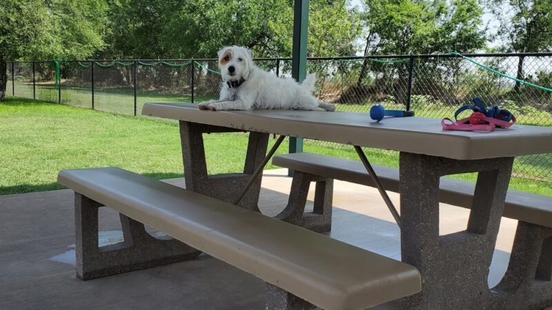 Retama Village Dog Park - Mission, TX