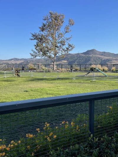 South Paw Dog Park (Private) - Mission Viejo, CA