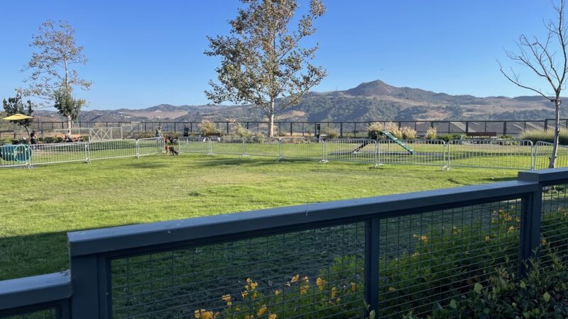South Paw Dog Park (Private) - Mission Viejo, CA
