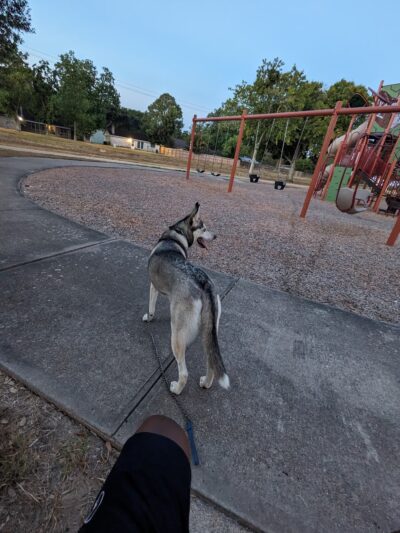 Hunters Trail Park - Missouri City, TX