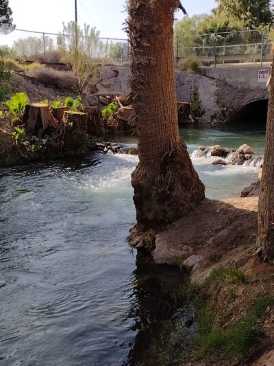 Palm Creek Ranch - Moapa, NV