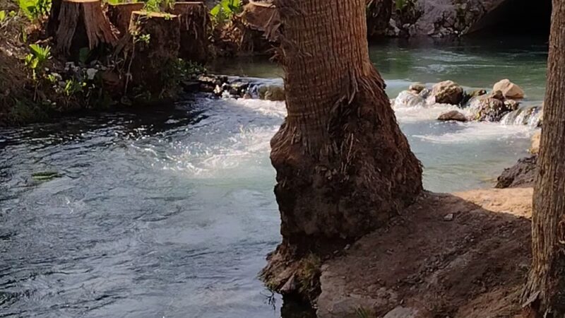 Palm Creek Ranch - Moapa, NV