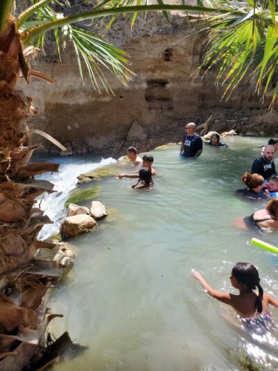 Palm Creek Ranch - Moapa, NV