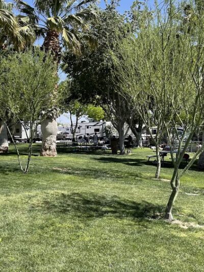 Palm Creek Ranch - Moapa, NV