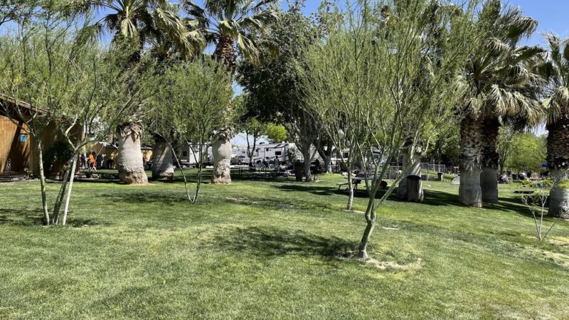 Palm Creek Ranch - Moapa, NV