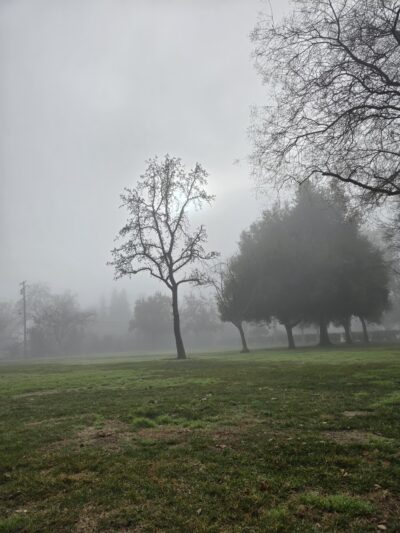 Thomas B. Scott Park - Modesto, CA