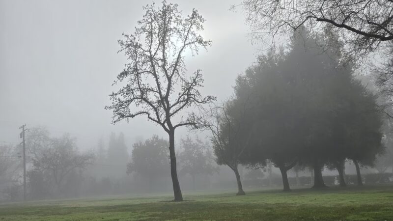 Thomas B. Scott Park - Modesto, CA