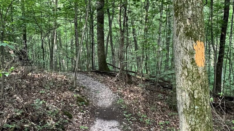 Buxton Conservancy Parking - Mohnton, PA