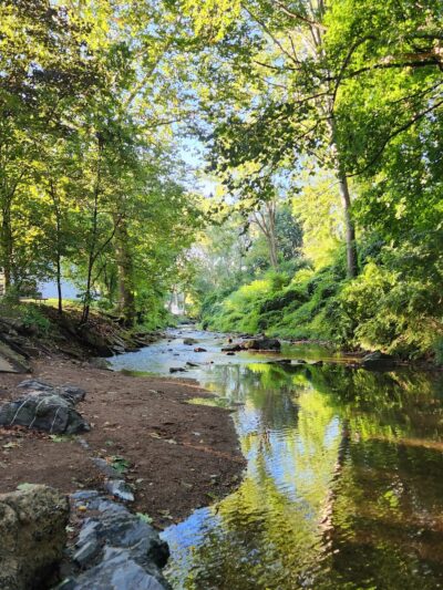 Mohnton Memorial Park - Mohnton, PA