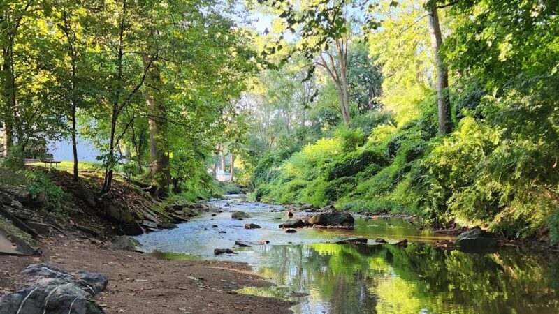 Mohnton Memorial Park - Mohnton, PA